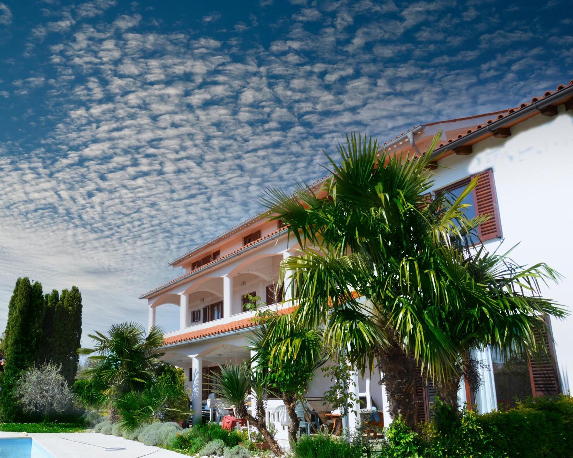 Aurelia Apartment