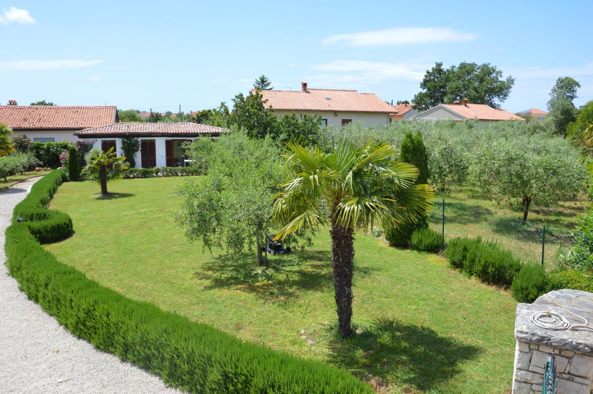 Aurelia Apartment
