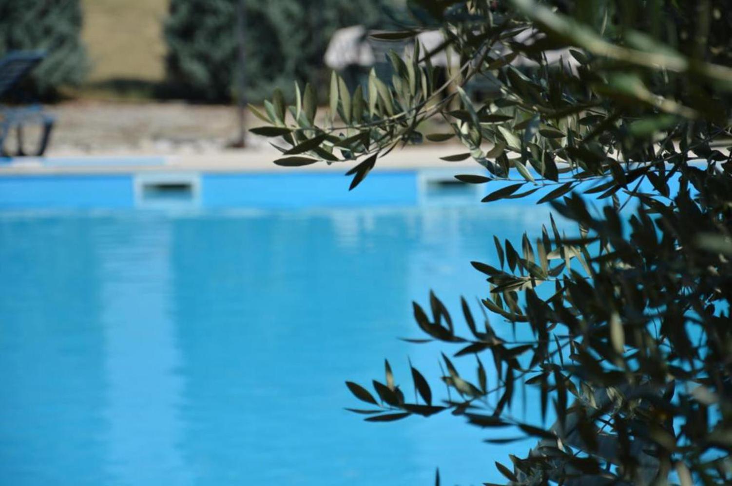 Aurelia Apartment Nova Vas (Porec)