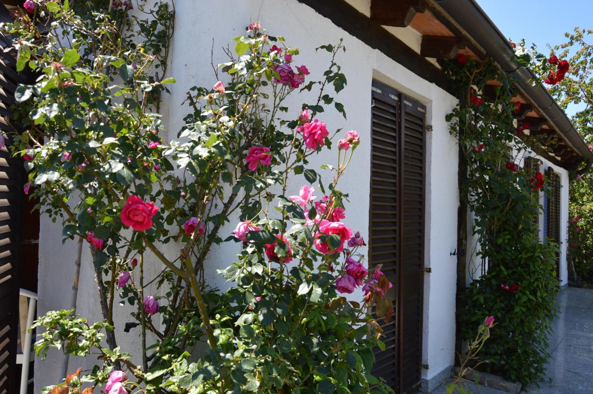 Apartment Aurelia *