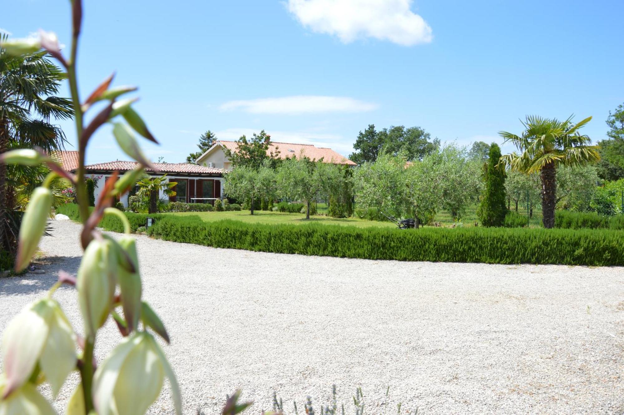 Aurelia Apartment *